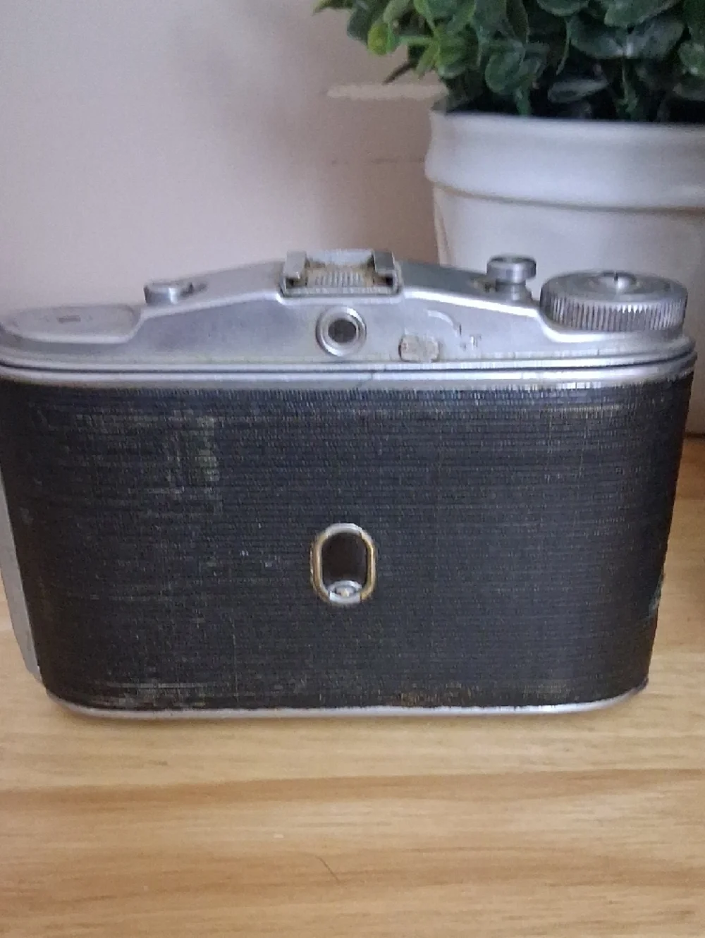 Vintage Cameras Decor